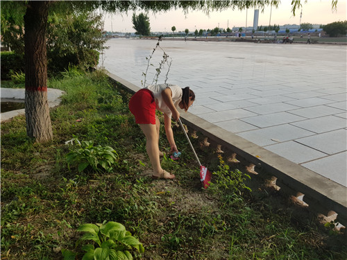 【美化校園】為迎接新生的到來，我院全體動員美化校園環(huán)境