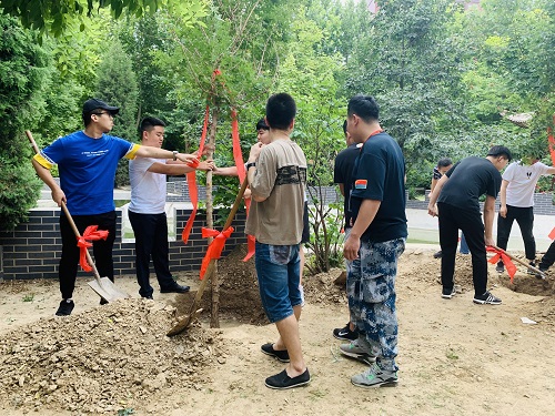 管理科學(xué)與工程學(xué)院2019屆黨員畢業(yè)生捐樹活動圓滿成功