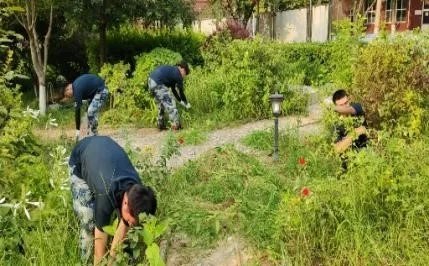 在勞動中把小我融入大我 ——用青春建設(shè)美麗校園