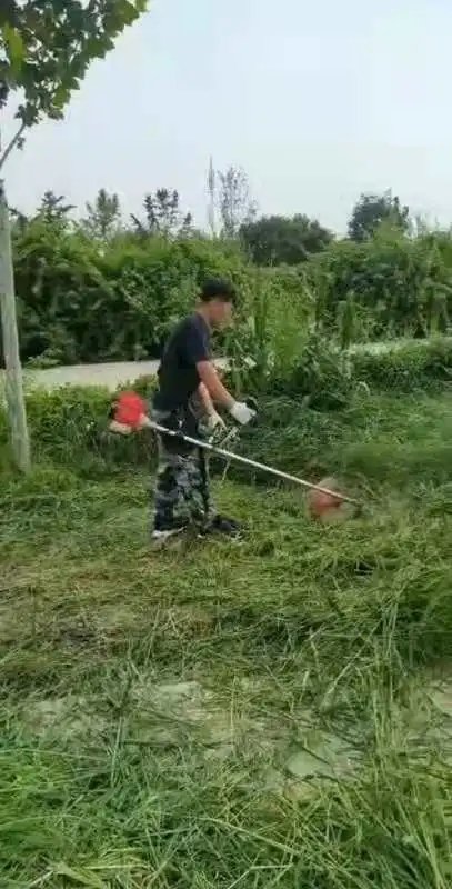 在勞動中把小我融入大我 ——用青春建設(shè)美麗校園