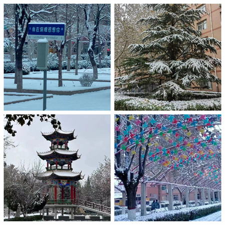 浴“雪”奮戰(zhàn)---藝術(shù)學(xué)院開展冬日“破冰行動”