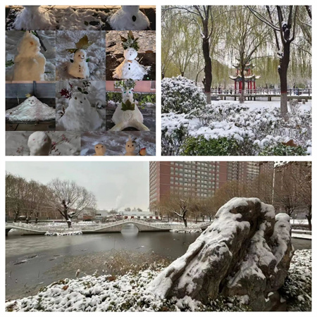 浴“雪”奮戰(zhàn)---藝術(shù)學(xué)院開展冬日“破冰行動”