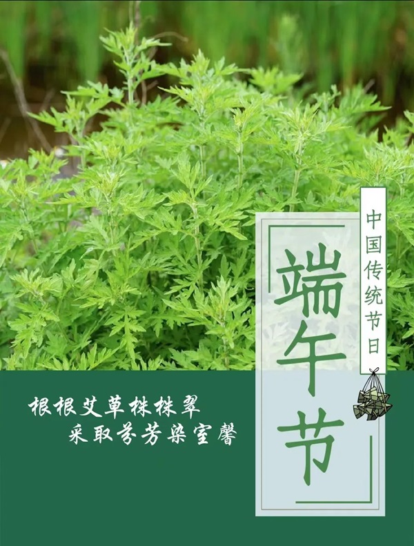 保定理工學院||管理學院||端午送福利 關懷沁人心——我院為教職工發(fā)放端午節(jié)禮品