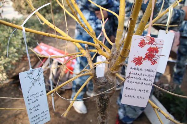 植樹節(jié)|管理學(xué)院|手植一抹綠，心栽一片林